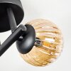 Chehalis Plafondlamp, Kogellampje Amber, Rookkleurig, 3-lichts