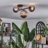 Chehalis Plafondlamp, Kogellampje Rookkleurig, 3-lichts
