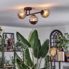 Chehalis Plafondlamp, Kogellampje Amber, Rookkleurig, 3-lichts