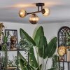 Chehalis Plafondlamp, Kogellampje Amber, Rookkleurig, 3-lichts