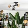 Chehalis Plafondlamp, Kogellampje Amber, Rookkleurig, 3-lichts