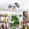 Gastor Plafondlamp, Kogellampje Duidelijk, Rookkleurig, 3-lichts