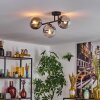 Gastor Plafondlamp, Kogellampje Duidelijk, Rookkleurig, 3-lichts