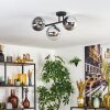 Gastor Plafondlamp, Kogellampje Chroom, Duidelijk, Rookkleurig, 3-lichts