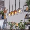 Koyoto Hanglamp, Kogellampje, Hanglamp Goud, Duidelijk, Koperkleurig, Rookkleurig, 4-lichts