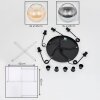 Koyoto Hanglamp, Kogellampje, Cluster hanglamp Amber, Duidelijk, Rookkleurig, 5-lichts