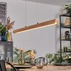 Fugelsta Hanglamp, Hanglamp LED Zwart, 1-licht
