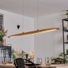 Fugelsta Hanglamp, Hanglamp LED Zwart, 1-licht