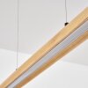 Fugelsta Hanglamp, Hanglamp LED Zwart, 1-licht