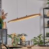 Fugelsta Hanglamp, Hanglamp LED Zwart, 1-licht