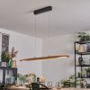 Fugelsta Hanglamp, Hanglamp LED Zwart, 1-licht