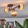 Chehalis Plafondlamp, Kogellampje Amber, 3-lichts