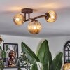 Chehalis Plafondlamp, Kogellampje Amber, 3-lichts