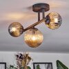 Chehalis Plafondlamp, Kogellampje Amber, Rookkleurig, 3-lichts