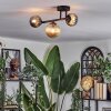 Chehalis Plafondlamp, Kogellampje Amber, Rookkleurig, 3-lichts