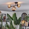 Chehalis Plafondlamp, Kogellampje Amber, Rookkleurig, 3-lichts