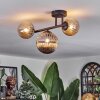 Chehalis Plafondlamp, Kogellampje Amber, Rookkleurig, 3-lichts