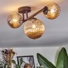 Chehalis Plafondlamp, Kogellampje Amber, 3-lichts