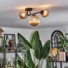 Chehalis Plafondlamp, Kogellampje Amber, 3-lichts