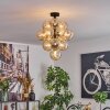 Chehalis Plafondlamp, Kogellampje 39 cm LED Amber, 13-lichts