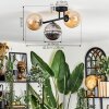 Chehalis Plafondlamp, Kogellampje Amber, Chroom, Rookkleurig, 3-lichts