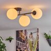 Gastor Plafondlamp, Kogellampje Wit, 3-lichts