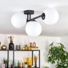 Gastor Plafondlamp, Kogellampje Wit, 3-lichts