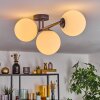 Gastor Plafondlamp, Kogellampje Wit, 3-lichts