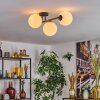 Gastor Plafondlamp, Kogellampje Wit, 3-lichts