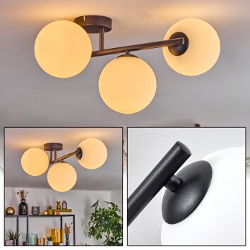 Gastor Plafondlamp, Kogellampje Wit, 3-lichts