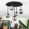 Chehalis Plafondlamp, Kogellampje Rookkleurig, 5-lichts