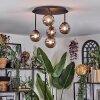 Chehalis Plafondlamp, Kogellampje Rookkleurig, 5-lichts