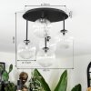 Chehalis Plafondlamp, Kogellampje Duidelijk, 5-lichts