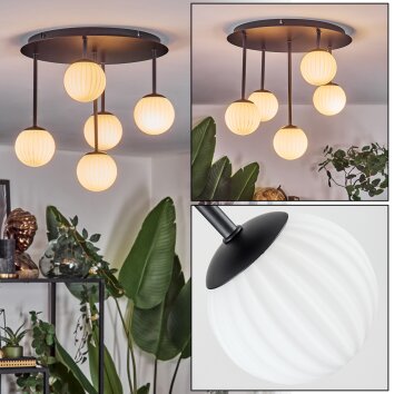 Chehalis Plafondlamp, Kogellampje Wit, 5-lichts
