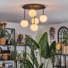 Chehalis Plafondlamp, Kogellampje Wit, 5-lichts