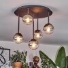 Chehalis Plafondlamp, Kogellampje Duidelijk, Rookkleurig, 5-lichts