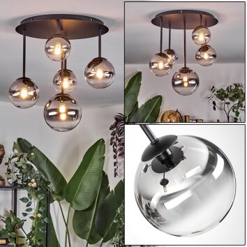 Chehalis Plafondlamp, Kogellampje Duidelijk, Rookkleurig, 5-lichts