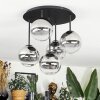 Chehalis Plafondlamp, Kogellampje Duidelijk, Rookkleurig, 5-lichts