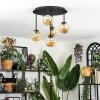 Chehalis Plafondlamp, Kogellampje Amber, 5-lichts