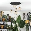 Chehalis Plafondlamp, Kogellampje Amber, Duidelijk, 5-lichts