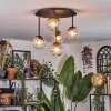 Chehalis Plafondlamp, Kogellampje Amber, Duidelijk, 5-lichts