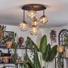 Chehalis Plafondlamp, Kogellampje Amber, Duidelijk, 5-lichts