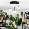Chehalis Plafondlamp, Kogellampje Wit, 5-lichts