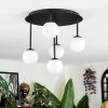 Chehalis Plafondlamp, Kogellampje Wit, 5-lichts