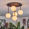 Chehalis Plafondlamp, Kogellampje Wit, 5-lichts