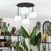 Chehalis Plafondlamp, Kogellampje Wit, 5-lichts