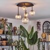 Chehalis Plafondlamp, Kogellampje Duidelijk, 5-lichts