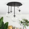 Chehalis Plafondlamp, Kogellampje Duidelijk, 5-lichts