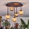 Chehalis Plafondlamp, Kogellampje Amber, Rookkleurig, 5-lichts