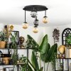 Chehalis Plafondlamp, Kogellampje Amber, Rookkleurig, 5-lichts